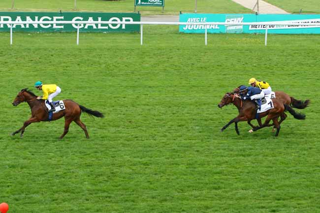 Photo d'arrivée de la course pmu PRIX ARISTON à MAISONS-LAFFITTE le Vendredi 13 mai 2016