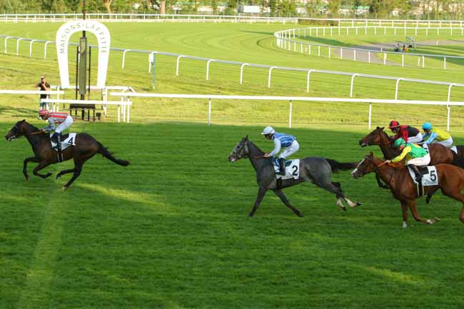Photo d'arrivée de la course pmu PRIX LE HAAR à MAISONS-LAFFITTE le Vendredi 13 mai 2016