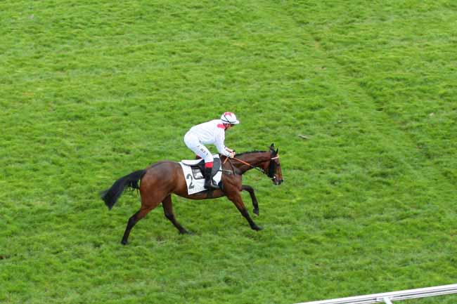 Photo d'arrivée de la course pmu PRIX PRETENTAINE à AUTEUIL le Samedi 14 mai 2016