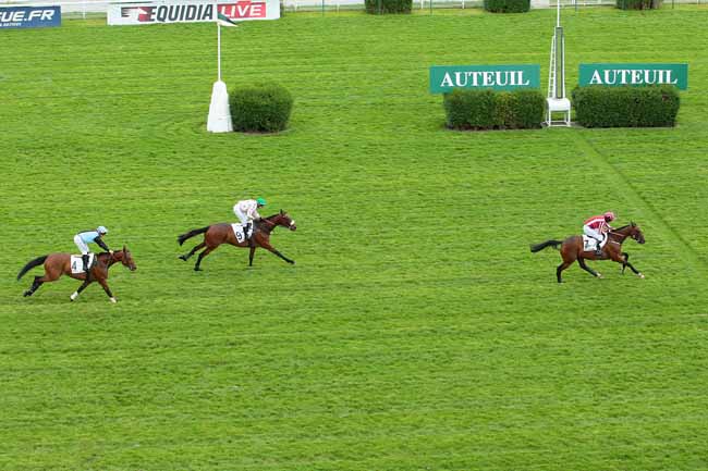 Photo d'arrivée de la course pmu PRIX SAINT-SAUVEUR à AUTEUIL le Samedi 14 mai 2016