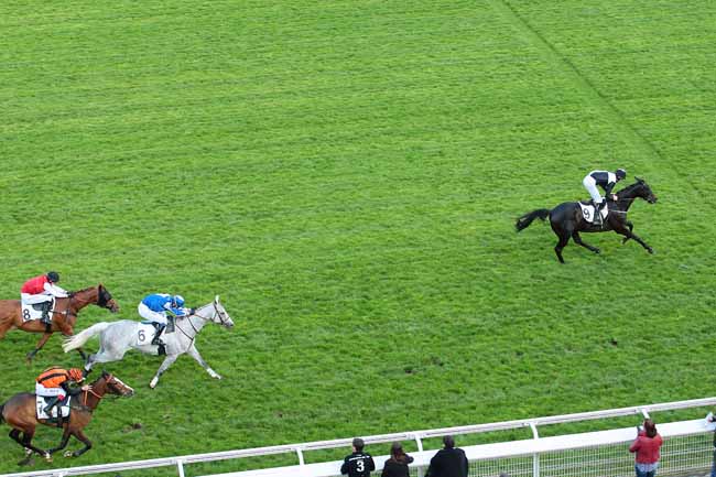 Photo d'arrivée de la course pmu PRIX VALMAJOUR à AUTEUIL le Samedi 14 mai 2016