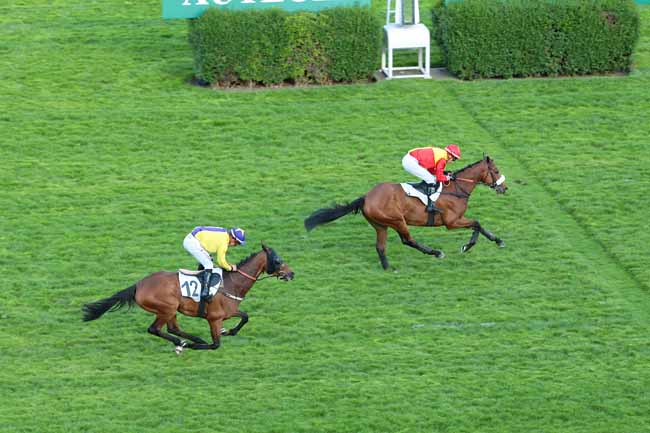 Photo d'arrivée de la course pmu PRIX GUILLAUME JAVOY à AUTEUIL le Samedi 14 mai 2016