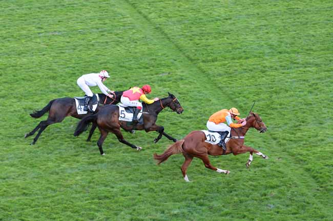 Photo d'arrivée de la course pmu PRIX FAUCHE LE PRE à AUTEUIL le Samedi 14 mai 2016