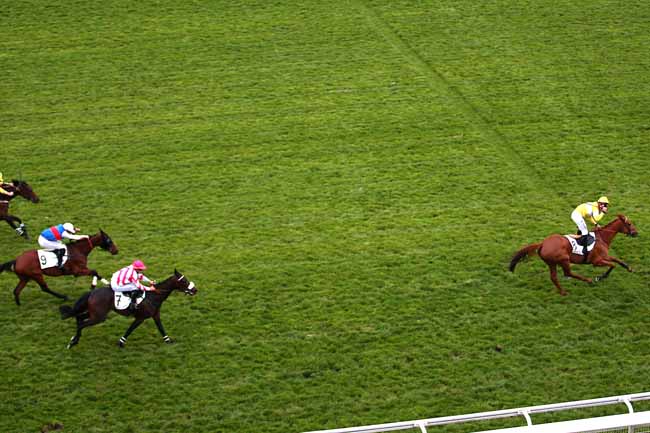 Photo d'arrivée de la course pmu PRIX PANSA à AUTEUIL le Samedi 14 mai 2016