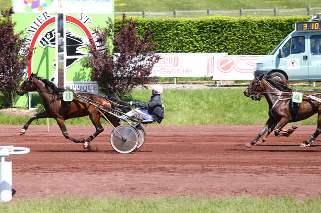 Photo d'arrivée de la course pmu PRIX A.S.S.E. à SAINT GALMIER le Mardi 17 mai 2016