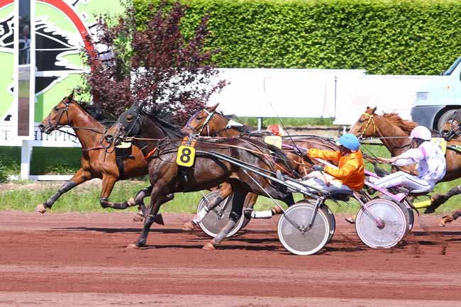 Photo d'arrivée de la course pmu PRIX DE LA COMMUNAUTE DE COMMUNES DU PAYS DE SAINT-GALMIER à SAINT GALMIER le Mardi 17 mai 2016