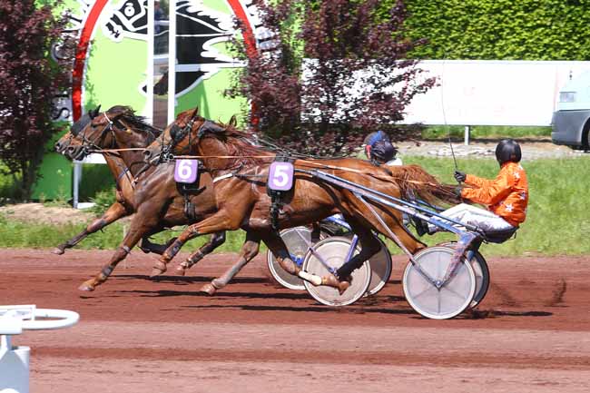 Photo d'arrivée de la course pmu PRIX CHRISTIAN PALLANDRE TRAITEUR à SAINT GALMIER le Mardi 17 mai 2016