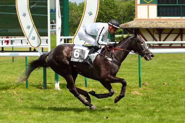 Photo d'arrivée de la course pmu PRIX DU GRAND MAITRE à COMPIEGNE le Mardi 17 mai 2016