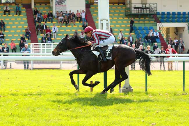 Photo d'arrivée de la course pmu PRIX BOUM à COMPIEGNE le Mardi 17 mai 2016