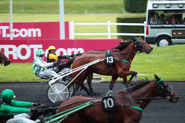 Photo d'arrivée de la course pmu PRIX FIDES à PARIS-VINCENNES le Mardi 17 mai 2016