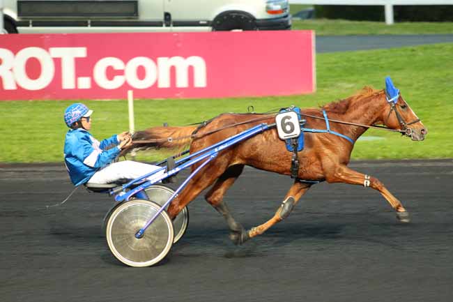 Photo d'arrivée de la course pmu PRIX MURZIM à PARIS-VINCENNES le Mardi 17 mai 2016