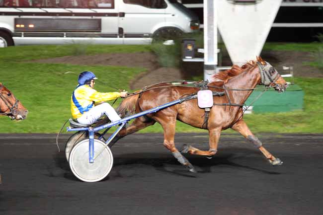 Photo d'arrivée de la course pmu PRIX KATHARINA à PARIS-VINCENNES le Mardi 17 mai 2016