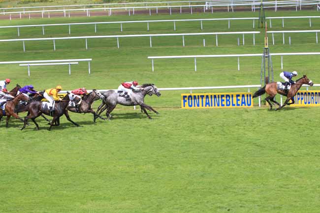 Photo d'arrivée de la course pmu PRIX DE LA FORET DES TROIS PIGNONS à FONTAINEBLEAU le Jeudi 19 mai 2016