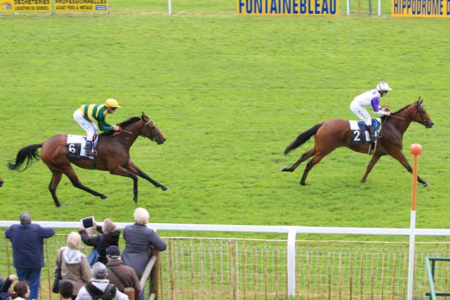 Photo d'arrivée de la course pmu PRIX DE LA GROTTE AUX CRISTAUX à FONTAINEBLEAU le Jeudi 19 mai 2016