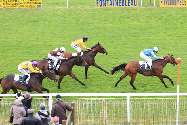 Photo d'arrivée de la course pmu PRIX DU BELVEDERE DES DRUIDES à FONTAINEBLEAU le Jeudi 19 mai 2016