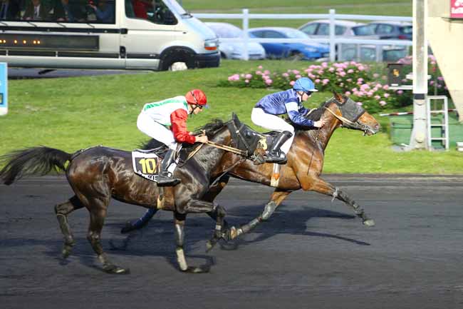 Photo d'arrivée de la course pmu PRIX EMILE NEVEUX à PARIS-VINCENNES le Vendredi 20 mai 2016
