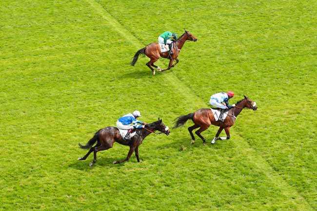Photo d'arrivée de la course pmu PRIX QUESTARABAD à AUTEUIL le Samedi 21 mai 2016
