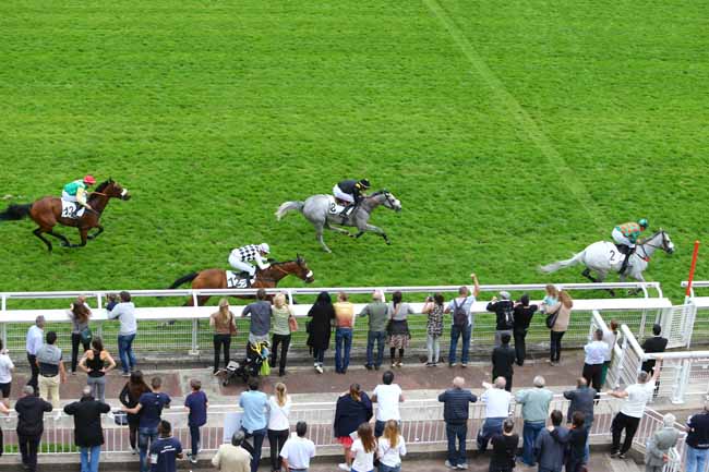 Photo d'arrivée de la course pmu PRIX LE GUALES DE MEZAUBRAN à AUTEUIL le Samedi 21 mai 2016