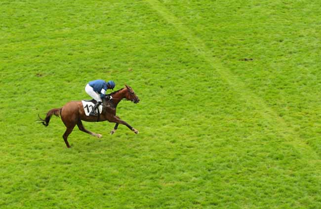 Photo d'arrivée de la course pmu PRIX EX VOTO à AUTEUIL le Dimanche 22 mai 2016