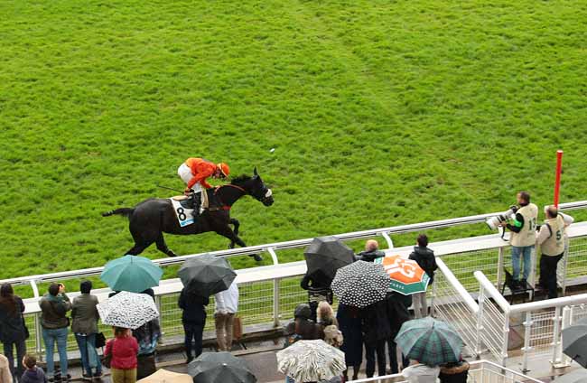 Photo d'arrivée de la course pmu PRIX WILD RISK à AUTEUIL le Dimanche 22 mai 2016