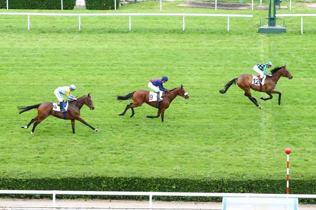 Photo d'arrivée de la course pmu PRIX DE LA LOMAGNE à SAINT-CLOUD le Lundi 23 mai 2016