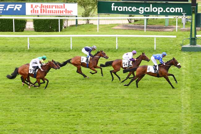 Photo d'arrivée de la course pmu PRIX DE BEAUVAL à SAINT-CLOUD le Lundi 23 mai 2016