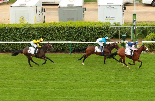 Photo d'arrivée de la course pmu PRIX DES NOUVEAUTES à CHANTILLY le Mardi 24 mai 2016