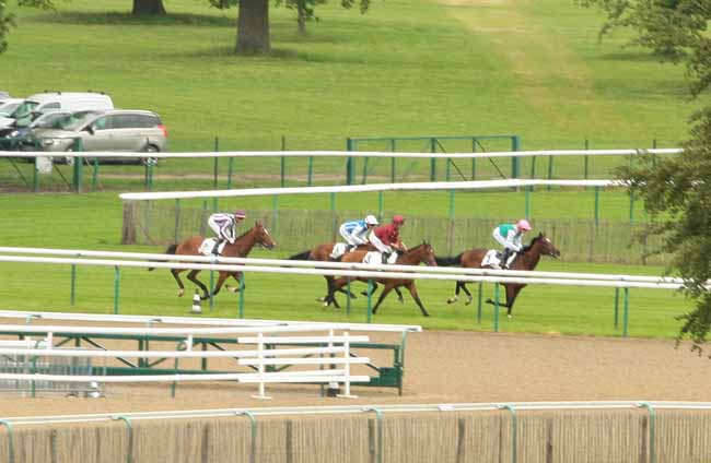 Photo d'arrivée de la course pmu PRIX DU CANAL SAINT-MARTIN à CHANTILLY le Mardi 24 mai 2016