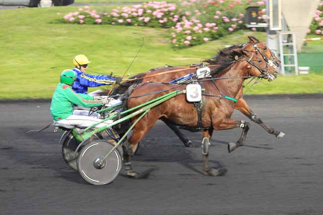 Photo d'arrivée de la course pmu PRIX KALMIA à PARIS-VINCENNES le Mardi 24 mai 2016