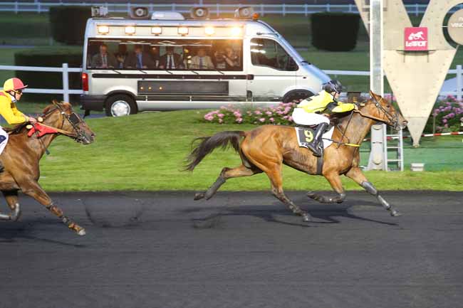 Photo d'arrivée de la course pmu PRIX HARMONIA à PARIS-VINCENNES le Mardi 24 mai 2016