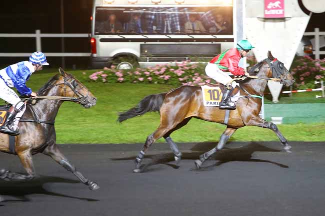 Photo d'arrivée de la course pmu PRIX KLYTAEMNESTRE à PARIS-VINCENNES le Mardi 24 mai 2016