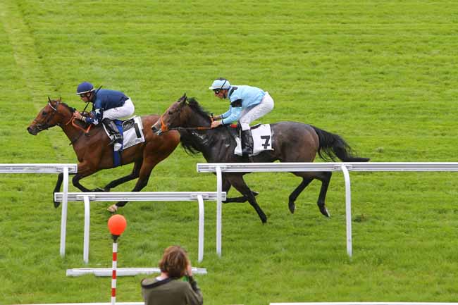 Photo d'arrivée de la course pmu PRIX MAELSTROM LAKE à MAISONS-LAFFITTE le Mercredi 25 mai 2016