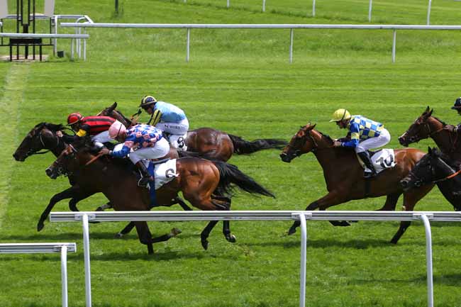 Photo d'arrivée de la course pmu PRIX DE MONTRETOUT à MAISONS-LAFFITTE le Mercredi 25 mai 2016