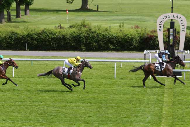 Photo d'arrivée de la course pmu PRIX DE PENTHIEVRE à MAISONS-LAFFITTE le Mercredi 25 mai 2016