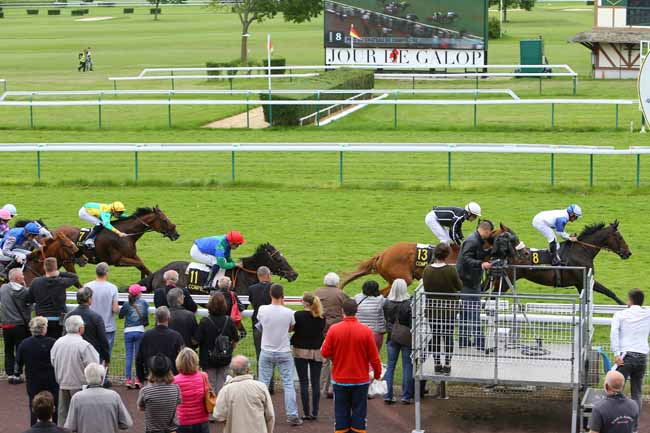 Photo d'arrivée de la course pmu PRIX DU CHATEAU DE COMPIEGNE à COMPIEGNE le Jeudi 26 mai 2016