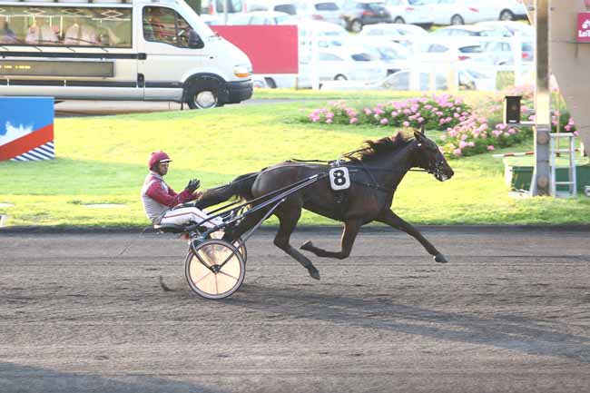 Photo d'arrivée de la course pmu PRIX OZO à PARIS-VINCENNES le Vendredi 27 mai 2016