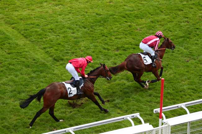 Photo d'arrivée de la course pmu PRIX BEAUMANOIR à AUTEUIL le Vendredi 27 mai 2016