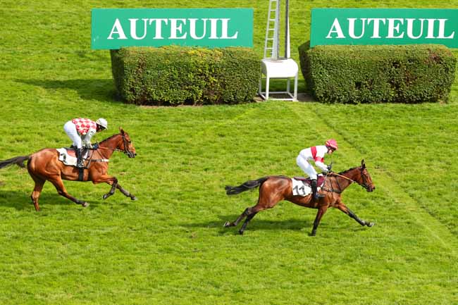 Photo d'arrivée de la course pmu PRIX JASMIN II à AUTEUIL le Vendredi 27 mai 2016