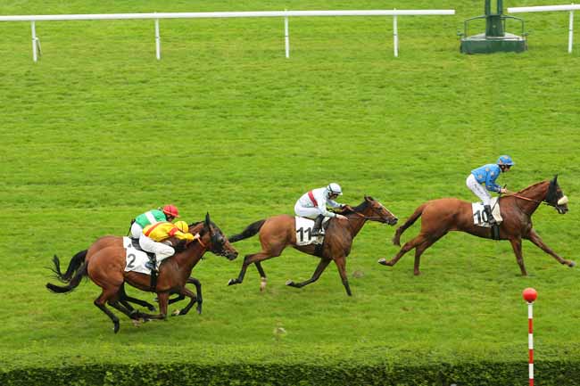 Photo d'arrivée de la course pmu PRIX DU PAVILLON DAUPHINE à SAINT-CLOUD le Dimanche 29 mai 2016