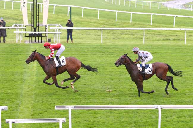 Photo d'arrivée de la course pmu PRIX MATCHEM à MAISONS-LAFFITTE le Lundi 30 mai 2016