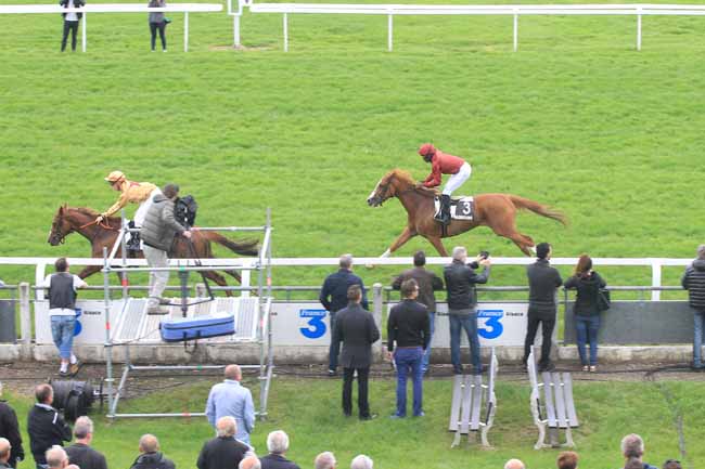 Photo d'arrivée de la course pmu PRIX ALSANETT à STRASBOURG le Mardi 31 mai 2016