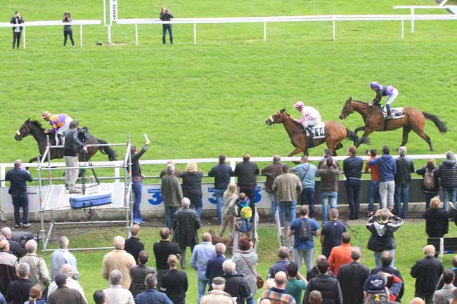 Photo d'arrivée de la course pmu PRIX DE LA MUSIQUE à STRASBOURG le Mardi 31 mai 2016