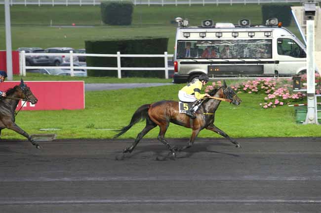 Photo d'arrivée de la course pmu PRIX VICTOR CAVEY à PARIS-VINCENNES le Mardi 31 mai 2016