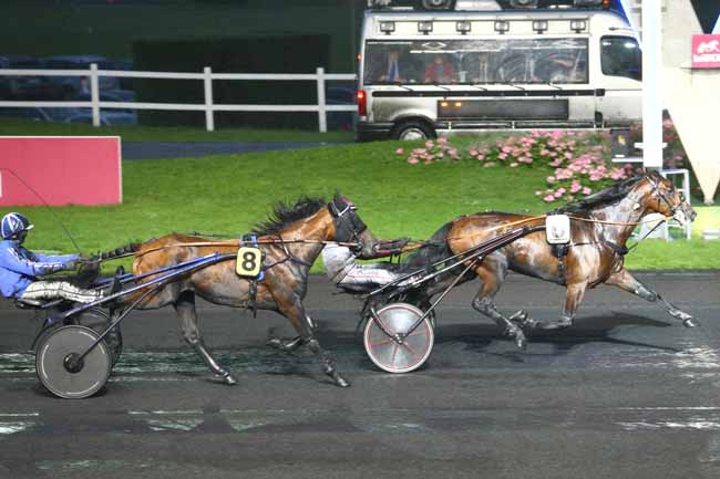 Photo d'arrivée de la course pmu PRIX TALITHA à PARIS-VINCENNES le Mardi 31 mai 2016