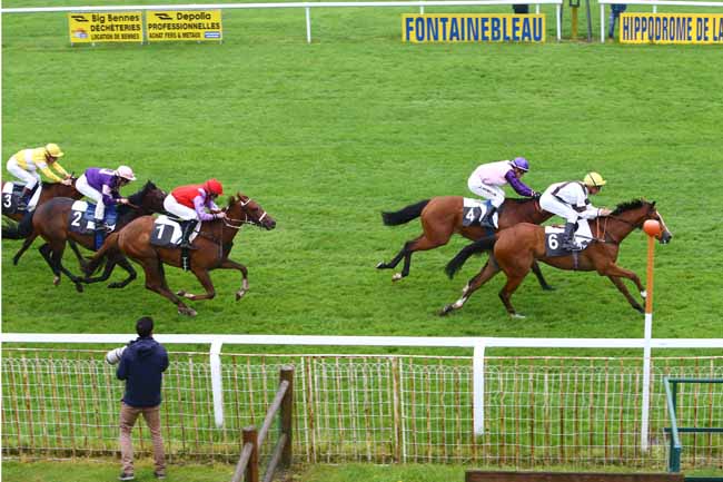Photo d'arrivée de la course pmu PRIX DES VERNES à FONTAINEBLEAU le Jeudi 2 juin 2016