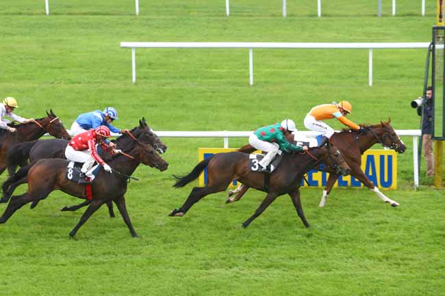Photo d'arrivée de la course pmu PRIX DE LA HAUTE BORNE à FONTAINEBLEAU le Jeudi 2 juin 2016