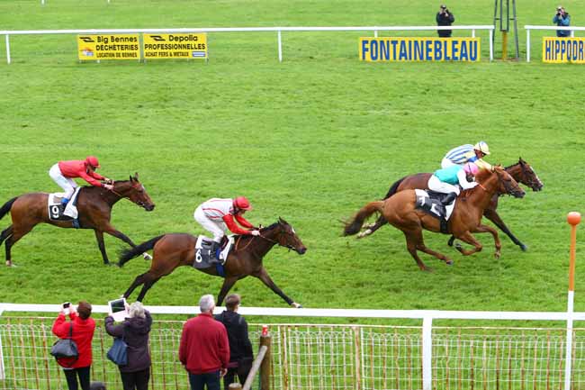 Photo d'arrivée de la course pmu PRIX DE NEMOURS à FONTAINEBLEAU le Jeudi 2 juin 2016