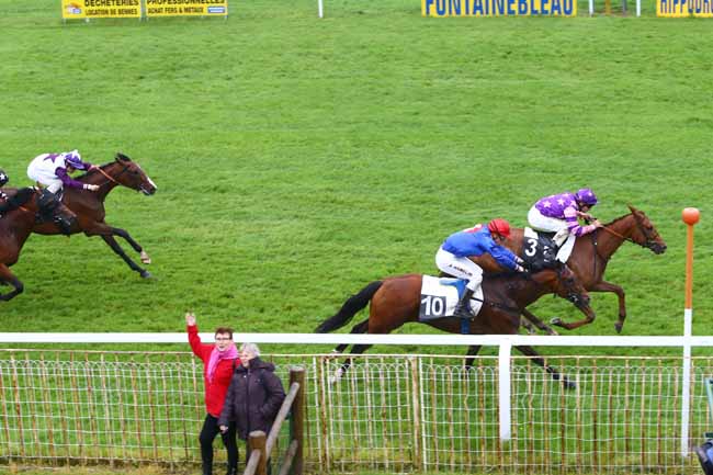 Photo d'arrivée de la course pmu PRIX DES BOULEAUX à FONTAINEBLEAU le Jeudi 2 juin 2016
