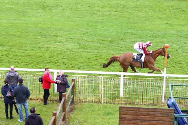 Photo d'arrivée de la course pmu PRIX DE LA LANDE DE BRUYERE à FONTAINEBLEAU le Jeudi 2 juin 2016
