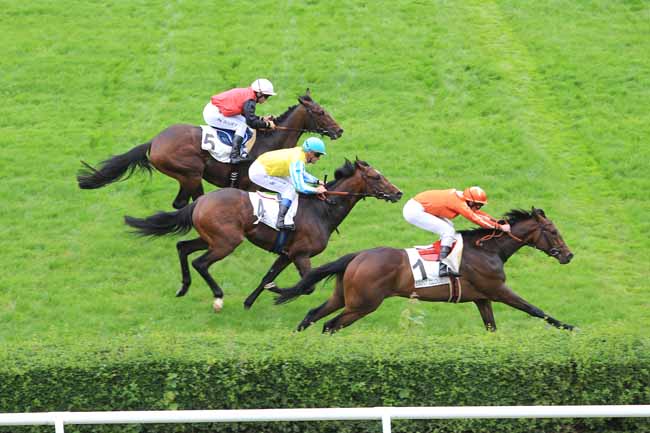 Photo d'arrivée de la course pmu PRIX DE PANTIN à SAINT-CLOUD le Vendredi 3 juin 2016
